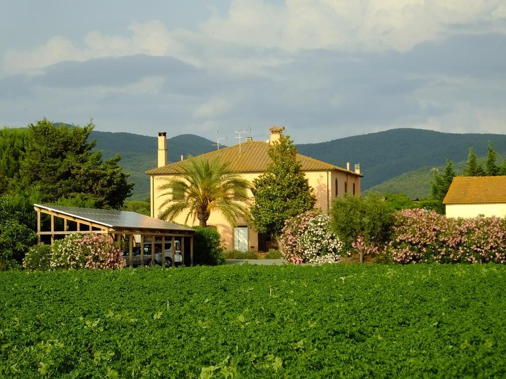 Agriturismo Sant'Uberto Bolgheri Exterior photo